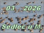Sedlec 2026